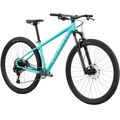 Bicicleta Specialized Rockhopper Expert 29