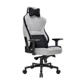 Cadeira Gamer DT3 Royce Ashen Reclinável Apoio de braço 4D - 13340-1