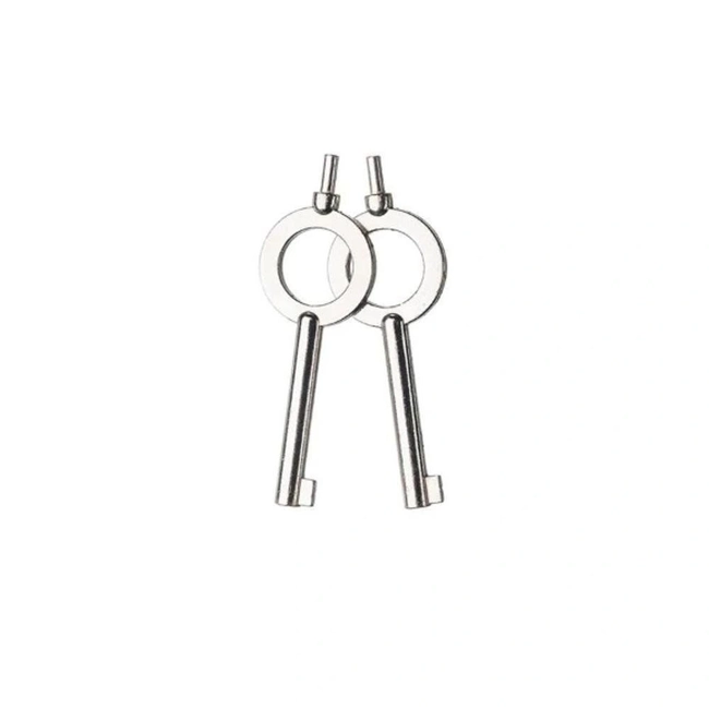 Chave de Algema INVICTUS (Unidade)