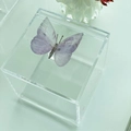 Caixa Cubo Borboleta Quartzo
