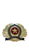 Distintivo de boina de OFICIAL - Rio Grande Do Sul