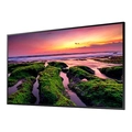 Monitor Profissional Samsung Qb43c 4k 43