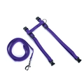 Kit Guia e Peitoral Ajustável para Gatos Roxo
