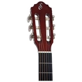Violao Acustico Start Aco S-14 N Giannini