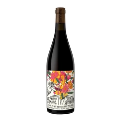 Riccitelli This is Not Another Lovely Malbec 2023