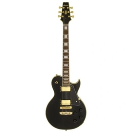 Guitarra Aria Pro Ii Pe-350cst Aged Black