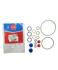 KIT REPARO PARCIAL BOMBA DE ALTA PRESSÃO COMMON RAIL CP3 - EQ. F00N201977 SPACO