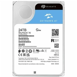 HD 24TB Seagate SkyHawk AI 512MB 7200RPM - ST24000VE002