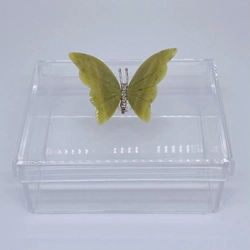 Caixa P tampa removível Borboleta