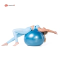 Bola De Pilates Funcional EssenceFit 65cm Anti-estouro Fitness Pilates