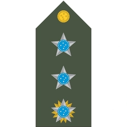 Platinas do Exército Brasileiro (Par)