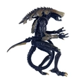 Action Figure Aliens Vs Predator - Alienígena Individual Surpresa Ref.: 51717