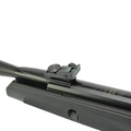 Carabina de Pressão Whisper Fusion IGT 5,5mm (GAMO)