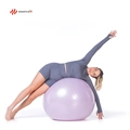 Bola de Ginástica Suíça Yoga Pilates 65cm Tecnologia Anti Estouro EssenceFit