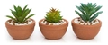 Vaso De Planta Artificial Decorativa Suculentas Kit C/3 Unid