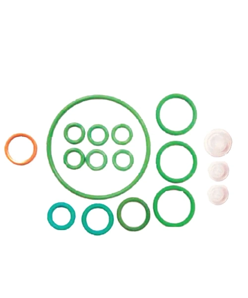 KIT REPARO PARCIAL BOMBA DE ALTA PRESSÃO COMMON RAIL CP3 - EQ. F00N201978 11-23-253 OMS