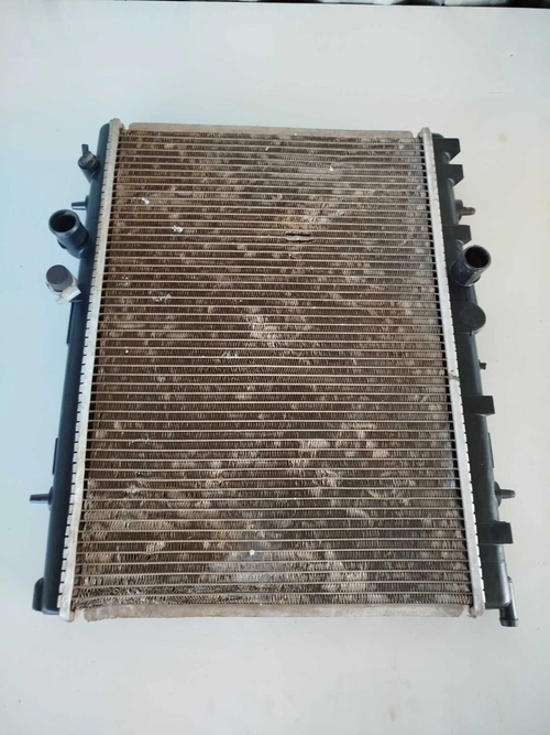 Radiador Peugeot 206,207,307 2003/2005 (ID:17113)