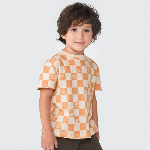 Camiseta Manga Curta Quadriculada Laranja Hering - Masculina