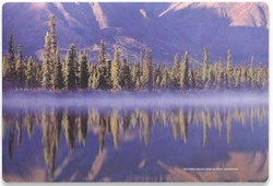 Adesivo Skin Manhattan Mh-423434 Para Notebooks Ate 17 Polegadas Floresta