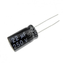 Capacitor Eletrolítico 22uF 250v 10 Unidades