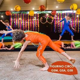 Figurino do Circo