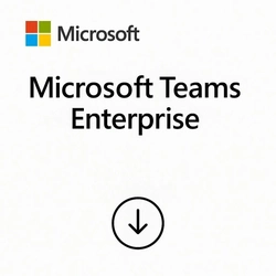 Microsoft Teams Enterprise 1 Ano Csp - Cfq7ttc0mzjf-009