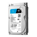 HD 1TB Seagate Skyhawk - St1000vx013