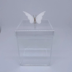 Caixa M Borboleta