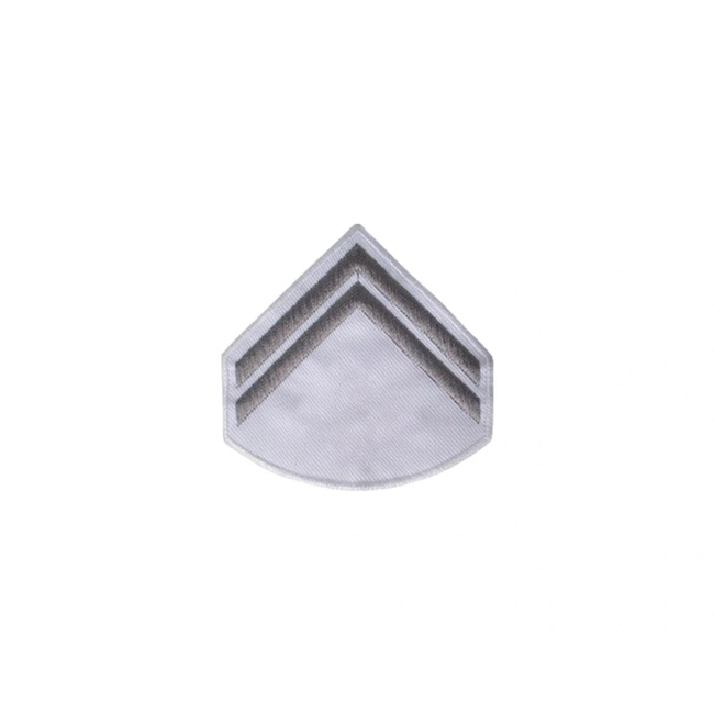 Divisa Bordada Saúde EB (Par)