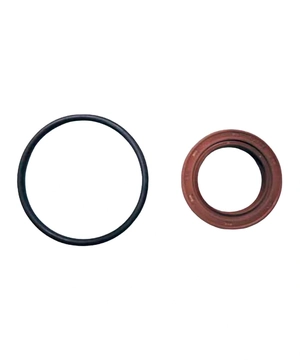 REPARO COMMON RAIL CP3 LINHA 010 (ANEL+RET25M