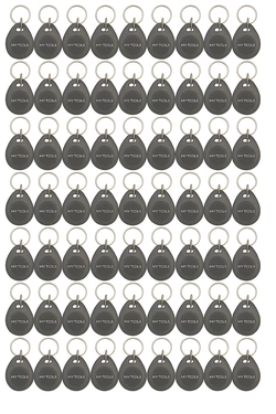 100 Chaveiros Aproximacao Tag Rfid Dupla Frequencia My Tools