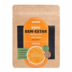 Sopa Bem-Estar Frango com Legumes Liofilizada Lyovibes – Sachê 45g