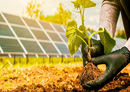 Sustentabilidade e Energia Solar