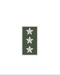 Divisa de Gola Capitão (Emborrachado)