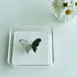 Porta Guardanapos Papel Borboleta