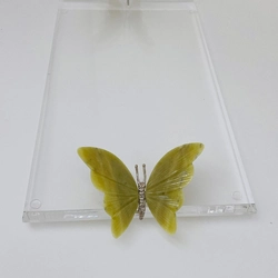 Bandeja 15mm Borboleta