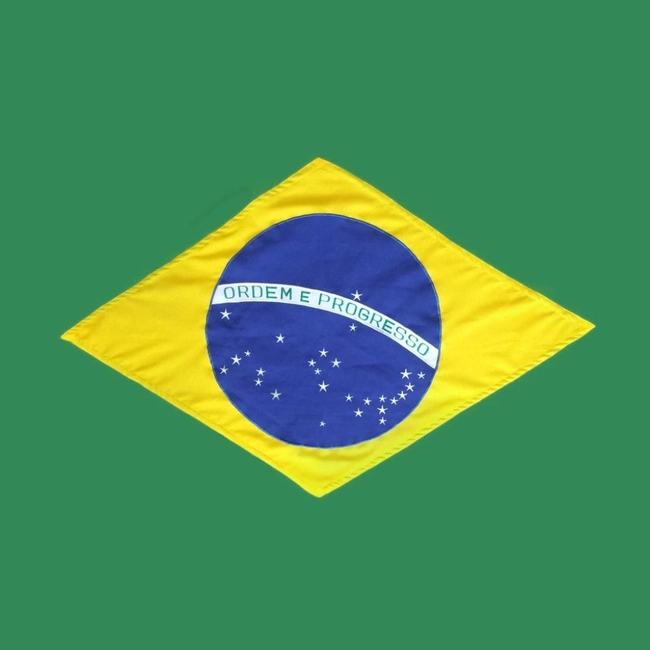 Bandeira do Brasil Nylon Alien (1,90  x 1,50)