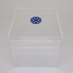 Caixa Seringas da semana - Logo alto relevo inicial ou desenho