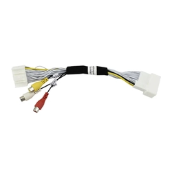 Desbloqueio De Vídeo Bee Link Santa Fé 16/ 18