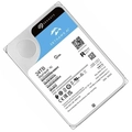 HD 24tb Seagate Skyhawk AI 512mb 7200rpm - St24000ve002