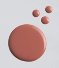 Esmalte Dailus Nude - Propriedade De Ninguém 8ml