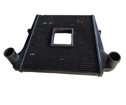 Intercooler Ford Cargo 2006/2010 (ID:3919)