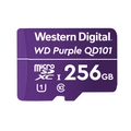 Cartao Micro Sd 256gb 64tbw P/ Segurança Eletronica 4600165