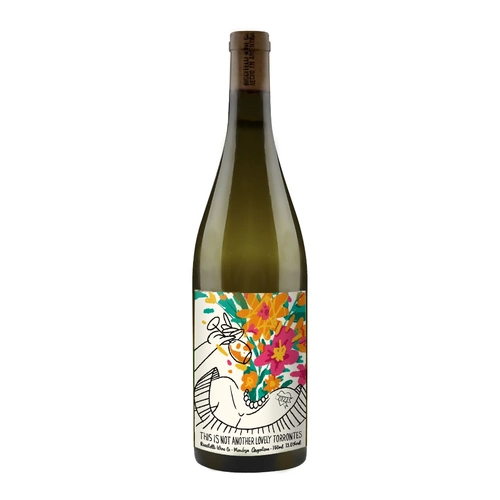 Riccitelli This Is Not Another Lovely Torrontes