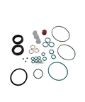 REPARO COMMON RAIL CP3110