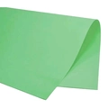 Papel Cartolina Dupla Face Color Set 48x66cm Verde Claro Scrity