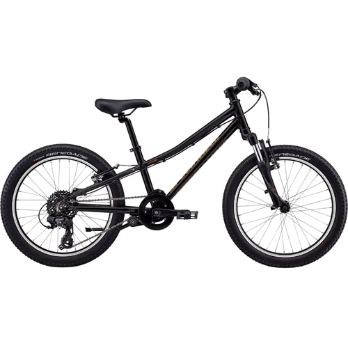 Bicicleta Specialized Hotrock 20
