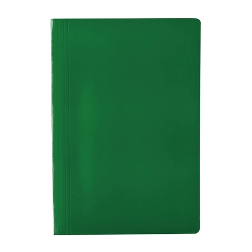 Pasta Grampo DelloPlex Verde 0292.T