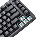 Teclado Gamer Mecanico Pcyes 75% Rasec Gasket Mount Gateron Blue Rgb - Twgblrgb