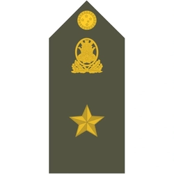 Platinas do Exército Brasileiro (Par)